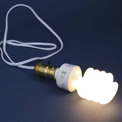 Dimmable fluorescent light bulbs  
