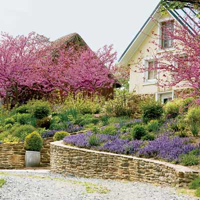 a stone retaining wall