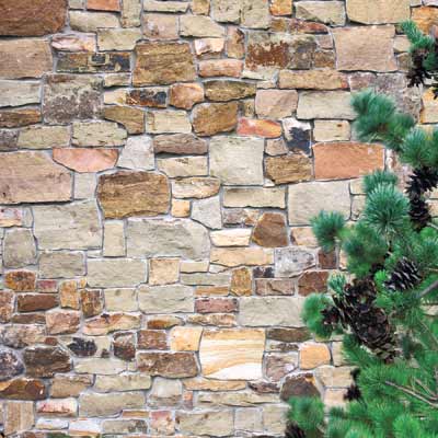 a retaining wall with a masonry veneer