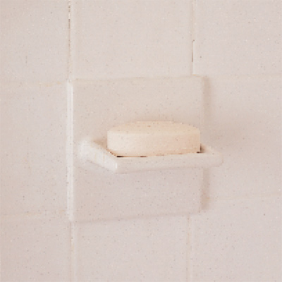 soap dish in shower