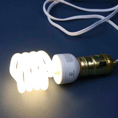 compact fluorescent light bulb