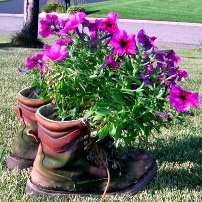 old work boots become planters in the garden
