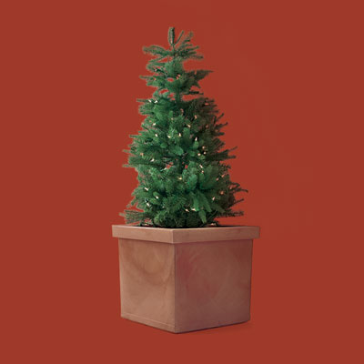 a resin planter made to look like terra-cotta large enough to fit a small Christmas tree