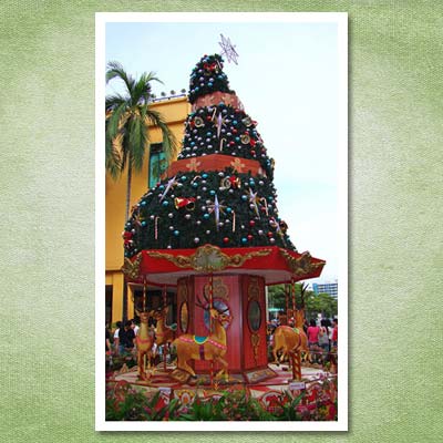 curvy christmas tree