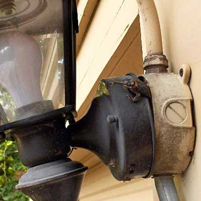 a small frog emerging from out of an outdoor lighting fixture