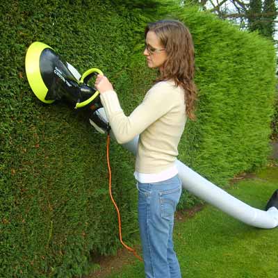 woman pruning hedges