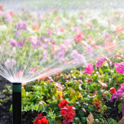 in ground sprinkler watering flower garden