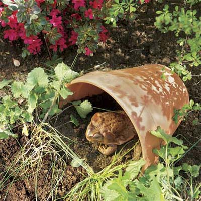 partially buried terra cotta pot used as a garden toad house