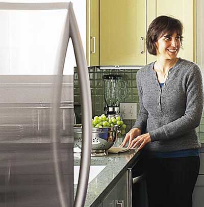 kitchen aid energy star refrigerator and dishwasher