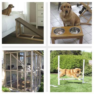 reader pet projects