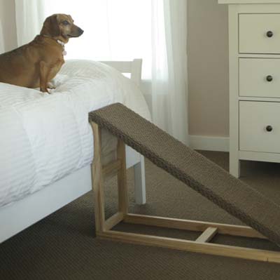 dachshund on bed with carpeted ramp