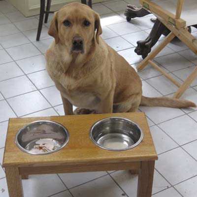 wood dog feeding station 
