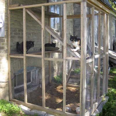 cat cage in backyard