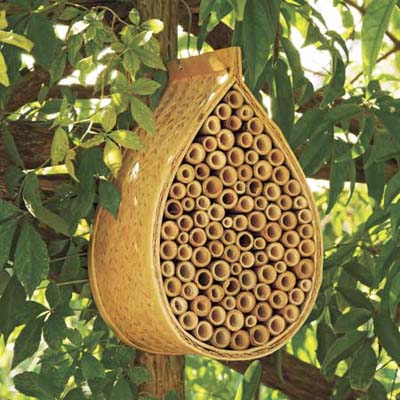 bamboo bee hive hanging in tree