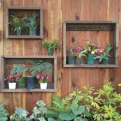 wooden wall with small plants mounted in shadow boxes