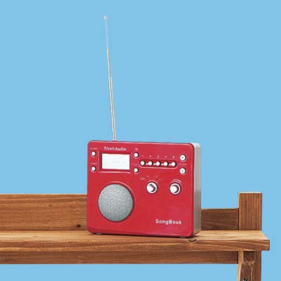red all weather music player