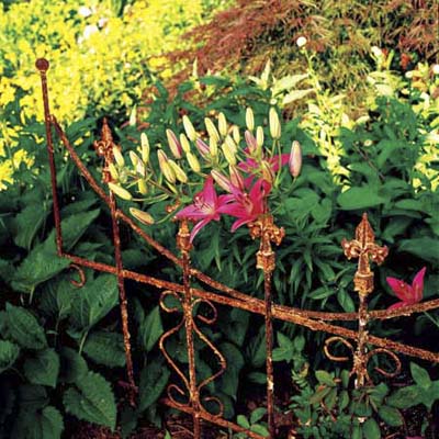 old iron fencing used to edge a yard and act as a trellis