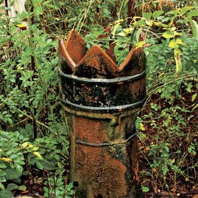 an old terra cotta chimney pot set upright as an outdoor planter