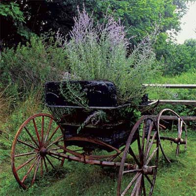 an old horse buggy used as an outdoor planter