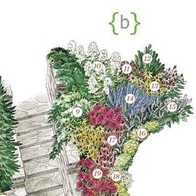 illustration of plants making up this part of the entry garden