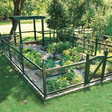 large vegetable garden