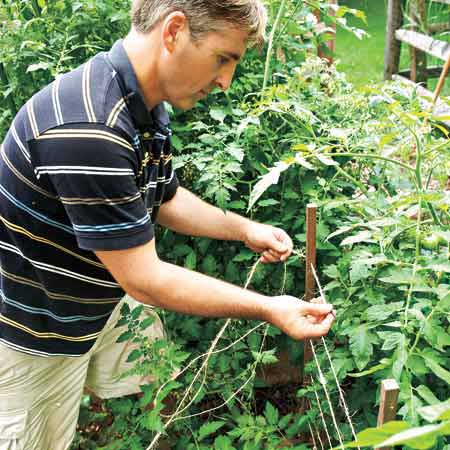 man building simple twine supports for garden