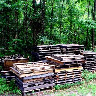 pallets in the forest