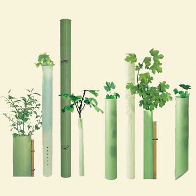 tubex tubes