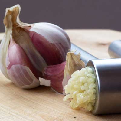garlic