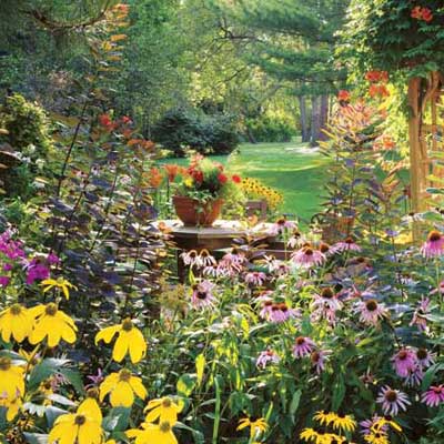 lush garden with blooming perennials