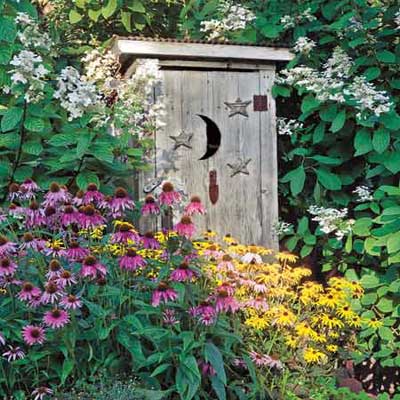 charming wooden shed in garden 