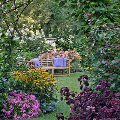 wooden bench in flowering backyard