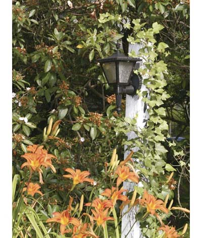 lanterns