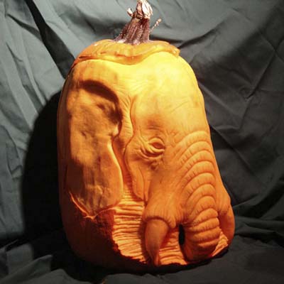Scott Cummins carving 