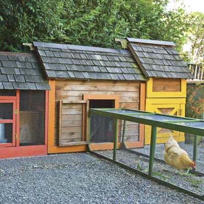 Colorful Coops