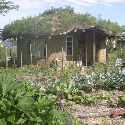 cob house in 