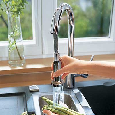 pull-down spout style kitchen faucet