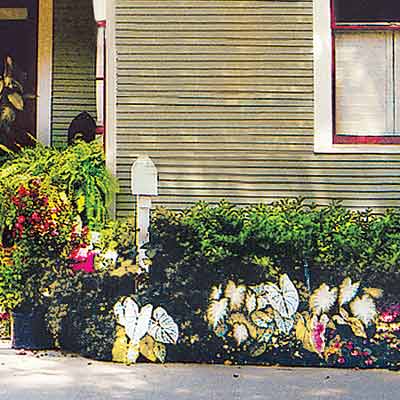 remodeled folk victorian house with curb appeal and lush landscaping
