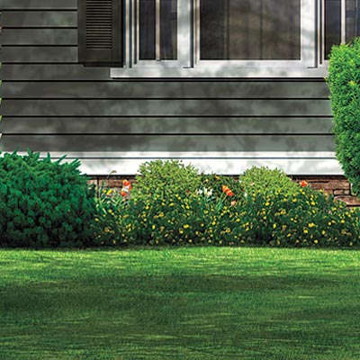 farmhouse with foundation plantings