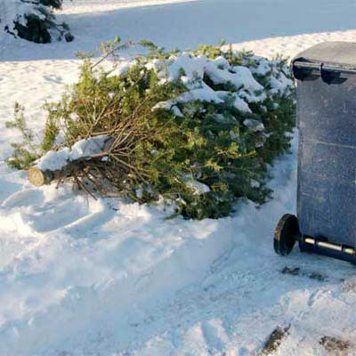 Christmas tree problem