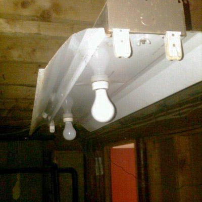 Incandescent bulbs in an an old fluorescent fixture