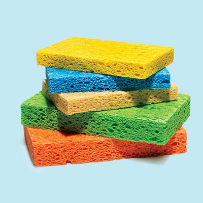 sponges