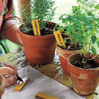 Potted and marked plants