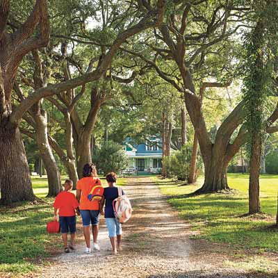 treelined entrance to remodeled farmhouse