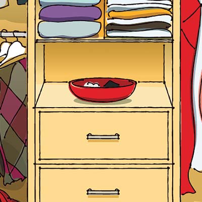 illustration of a well organized closet