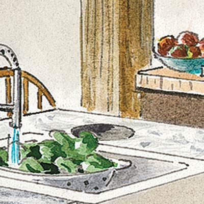 an illustration of a cutout next to a farmhouse sink for collecting food scraps