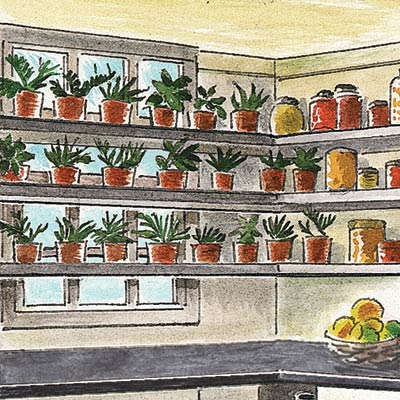 an illustration of open shelving in a kitchen pantry