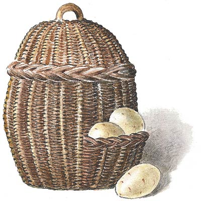 an illustration of a wicker potato basket