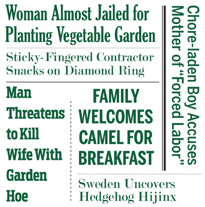 Weird home improvement news
