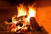Wood burning fireplace